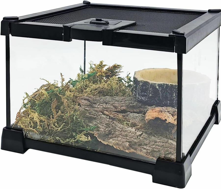 Reptiles & Amphibian Hamiledyi | Hamiledyi Small Reptile Tank Glass Amphibian Terrarium 7.9 X7.9 X5.7 In Transparent Hermit Crab Cage Micro Habitat Full View Visually Appealing Enclosure For Lizard Gecko Frog Spider Tortoise