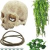 Reptiles & Amphibian Tfwadmx | Tfwadmx Reptiles Skull Hide Decorations Bearded Dragon Tank Accessories Terrarium Ornament Gecko Hideouts Cave Snake Habitat Jungle Climber Bendable Vines Leaves For Lizards,Chameleon,Spider (4 Pcs)