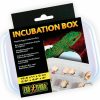 Reptiles & Amphibian Exo Terra | Exo Terra Incubation Box For Reptile And Amphibian Terrariums