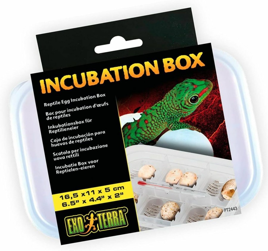 Reptiles & Amphibian Exo Terra | Exo Terra Incubation Box For Reptile And Amphibian Terrariums