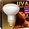 Reptiles & Amphibian Briignite | Briignite Heat Lamp Bulbs, Dimmable Uva Reptile Light, Reptile Heat Lamp Bulbs E26 Base, 50W Basking Spot Bulb For Reptile, Full Spectrum Heat Light Bulb For Turtle Lizard Tank, Bearded Dragon, 1 Pack