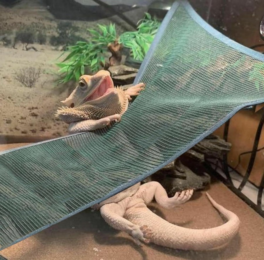 Reptiles & Amphibian Mytagos | Bearded Dragon Lizard Hammock - Breathable Mesh Lounger Ladder Bearded Dragon, Reptile Hammock Accessories For Bearded Dragons Geckos Lizards (Black)