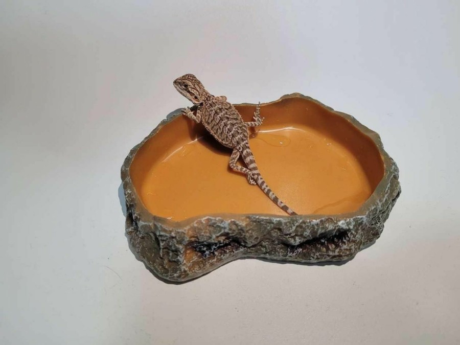 Reptiles & Amphibian RunXF | Runxf Simulation Rock Reptile Feeding Bowls Resin Feeder Lizard Toad Tortoise Hedgehog Habitat Accessories Terrarium Tank Ornament Water Food Dish, 7.5 X 5 X 1.6Inches(Large), Brown, Medium