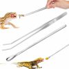 Reptiles & Amphibian UNIFAMILY | Unifamily Reptile Feeding Tongs And Reptile Food Spoon, Snake Feeding Tongs, Reptile Powder Fruit Food Feeding Spoon Long Handle Feeding Tool Fits Crested Gecko Gargoyle Bearded Dragon Lizard