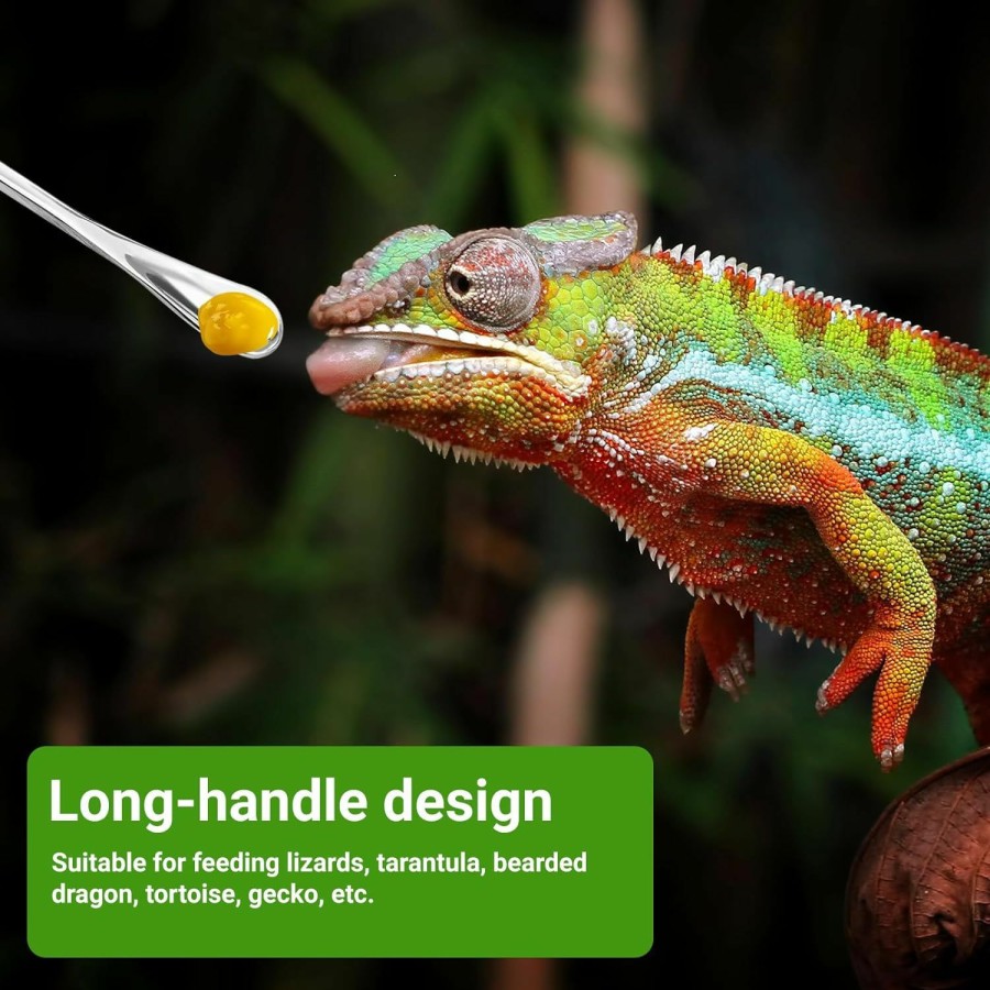 Reptiles & Amphibian UNIFAMILY | Unifamily Reptile Feeding Tongs And Reptile Food Spoon, Snake Feeding Tongs, Reptile Powder Fruit Food Feeding Spoon Long Handle Feeding Tool Fits Crested Gecko Gargoyle Bearded Dragon Lizard