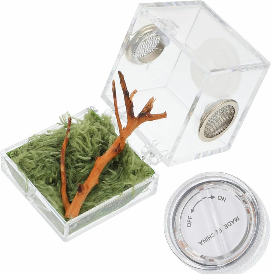 Reptiles & Amphibian Alipis | Alipis Reptile Accessories Spider Terrariums Acrylic Reptile Terrarium With Lamp,Jumping Spider Enclosure Hatching Container For Small Reptiles Reptile Enclosure