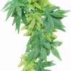 Reptiles & Amphibian iplusmile | Iplusmile Reptile Plants, Hanging Fake Vines Climbing Terrarium Plant Decor For Bearded Dragons, Lizards, Geckos, Snake Pets Hermit Crab Tank Habitat Decorations 16Inch