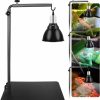 Reptiles & Amphibian waazoorep | Waazoorep Reptile Lamp Stand Ajustable 16-31 Inch Heat Lamp Holder Metal Bracket Floor Terrarium Light Holder For Reptile Glass Tank,Snake Turtle Terratium