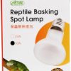 Reptiles & Amphibian ISTA | Ista Reptile Basking Spot Lamp 50W, 110V