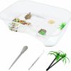 Reptiles & Amphibian PINVNBY | Pinvnby Plastic Turtle Tank Reptile Habitat Pet Terrariums Turtles Tank Aquarium Terrapin Topper Basking With Platform Plants,Durable,Safe, Non-Toxic(White)