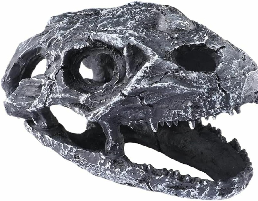 Reptiles & Amphibian Generic | Dinosaur Skull Reptile Cave Habitat Hide Premium Non-Toxic Decorative Resin For Aquariums & Terrariums. Ideal For Amphibians,Reptile,Lizards, Snakes,Small Animals... Medium Size