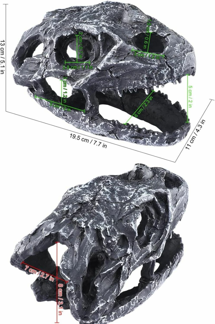 Reptiles & Amphibian Generic | Dinosaur Skull Reptile Cave Habitat Hide Premium Non-Toxic Decorative Resin For Aquariums & Terrariums. Ideal For Amphibians,Reptile,Lizards, Snakes,Small Animals... Medium Size