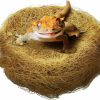 Reptiles & Amphibian SunGrow | Sungrow Coconut Husk Fiber For Reptile Cave Bedding, Improve Air Ventilation, Coco Coir Burrowing & Resting Vivarium Accessory For Hermit Crabs, Geckos, Hamsters, Bearded Dragons, Snakes, Turtles