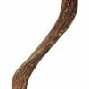 Reptiles & Amphibian Galapagos | Galapagos (05310) Jungle Wood, Natural Brown, 2 Ft.