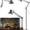 Reptiles & Amphibian AUAAQ | Auaaq Multi-Joint Metal Reptile Lamp Stand With Lampshade, Lamp Socket, Swing Arm & On/Off Switch, Comes With Three Interchangeable Bases For Floor Mount, Desk Edge Mount & Wall Mount (Max Height 71\")