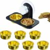 Reptiles & Amphibian MRTIOO | Mrtioo Enhanced Crested Gecko Feeding Ledge, With 2 Metal Cups + 20 Eco Cups, Reptile Amphibian Food Bowls And Water Dish, For Lizard Or Other Small Pet Feeder Ledge Accessories Supplies - Silver