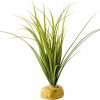 Reptiles & Amphibian Exo Terra | Exo Terra Turtle Grass Plant