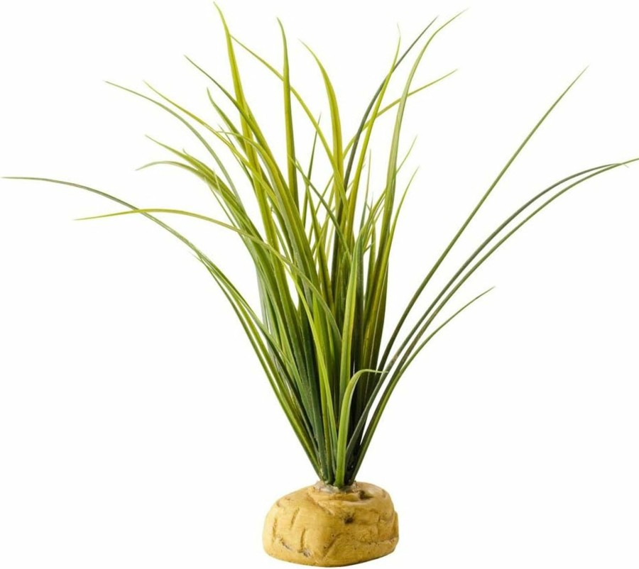 Reptiles & Amphibian Exo Terra | Exo Terra Turtle Grass Plant