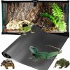 Reptiles & Amphibian Gamoonlen | Gamoonlen Bearded Dragon Tank Accessories, Reptile Terrarium Carpet Substrate For Leopard Gecko, Lizard, Iguana, Snake, Tortoise, Non-Adhesive Reptile Bearded Dragon Substrate (118 Inch)