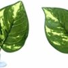 Reptiles & Amphibian Qiulogfen | Reptile Silk Plant Leaves With Suction Cups Andwater Licking Leaves Terrarium Habitat Aquarium Amphibian Accessories, (5) (5) (S) (S)