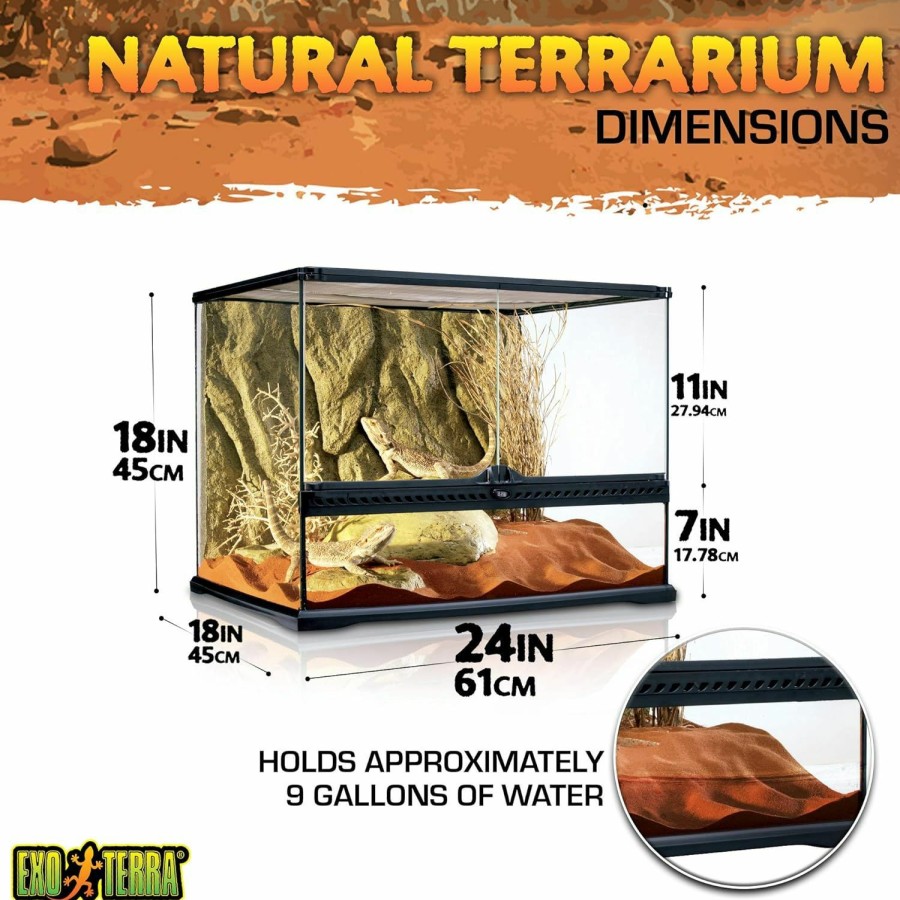 Reptiles & Amphibian Exo Terra | Exo Terra Glass Terrarium Tank - 24 X 18 X 18 Inches