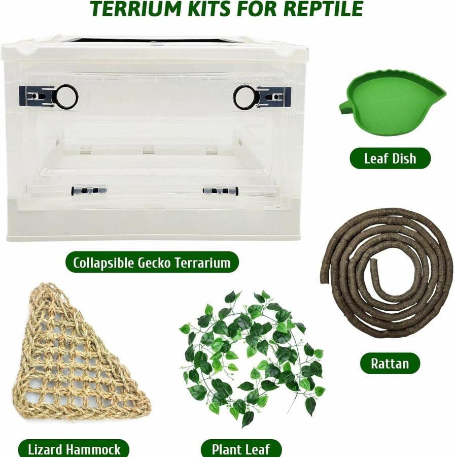 Reptiles & Amphibian Hamiledyi | Hamiledyi Foldable Reptile Terrariums Kit, 6 Pcs Gecko Tank Starter Kits Mini Transparent Lizard Habitat Cages For Iguana, Snake, Bearded Dragon, Tortoise, Chameleon 15.6\" X 11.6\" X 9.4\" Blue