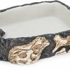 Reptiles & Amphibian Penn-Plax | Penn-Plax Reptology Reptile Fossil Rock Food/Water Dish Great For Bearded Dragons, Geckos, Chameleons, Snakes, Hermit Crabs, And Many More Medium