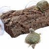 Reptiles & Amphibian C-leen | C-Leen Turtle Basking Platform, Basking Platform For Aquatic Turtles, Frogs, Newts, Lizard, Amphibians, Floating Turtle Basking Platform With Strong Suction Cups (Brown)