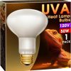 Reptiles & Amphibian WEEGrow | Weegrow Heat Lamp Bulbs, Uva Reptile Light, Reptile Heat Lamp Bulbs E26 Base, 50W Basking Spot Bulb For Reptile, Full Spectrum Heat Light Bulb For Turtle Lizard Tank, Bearded Dragon, 1 Pack