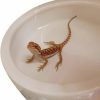 Reptiles & Amphibian RunXF | Runxf Reptiles Bowl Ceramics Dish 3.9 X 1 Inch Round Feeder Anti-Escape Dubia Roach Breadworm Plate With Deep Edge For Lizard Gecko Tortoise (M)