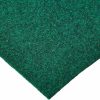 Reptiles & Amphibian Zoo Med | Zoo Med Eco Carpet For 29 Gallon Tanks