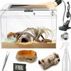 Reptiles & Amphibian HELIME | Reptile Pc Terrarium, Anti Breakage 12X7X9 Inch Amphibians Tank Starter Kits, Top Sliding Door Screen Ventilation Mini Habitat Cages, Hygrometer Thermometer, Hide Cave, Vines, Tweezer, Sprayer