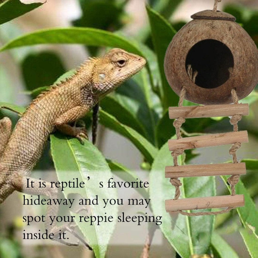 Reptiles & Amphibian Hamiledyi | Hamiledyi Gecko Coco Den 2 Pcs, Natural Reptile Hideouts Mini Condo For Lizards, Coconut Texture Provide Food For Pets, Raw Coconut Husk Hide With Ladder, Durable Cave Habitat With Hanging Loop