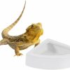 Reptiles & Amphibian POPETPOP | Popetpop Reptile Corner Bowl Ceramic 1/4 Round Mini Worm Dish Reptile Gecko Ledge Feeder Corner Space Saving Designing Reptile Feeding Dish White-Size Medium