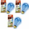 Reptiles & Amphibian Zilla | Zilla Incandescent Bulb, Day Blue Light And Heat, 100 Watt (3 Pack)