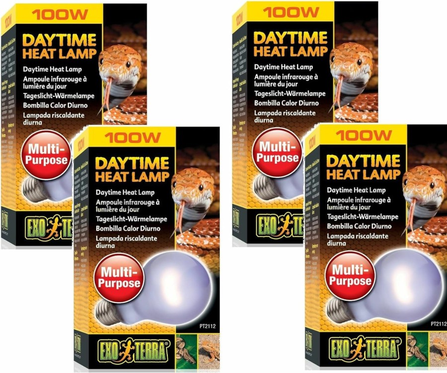 Reptiles & Amphibian Exo Terra | (4 Pack) Exo Terra Sun-Glo Neodymium A21 Lamp, 100 Watt