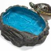 Reptiles & Amphibian C-leen | C-Leen Reptile Food Dish Bowl, Amphibian Reptile Feeding Dish For Lizard, Gecko, Bearded Dragon, Chameleon, Leopard Gecko, Frog, Turtle, Rock Reptile Water Dish - Blue, Large