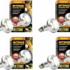 Reptiles & Amphibian Exo Terra | Exo Terra Sun-Glo Basking Infrared Spot Lamp, 100-Watt/120-Volt (4 Pack)