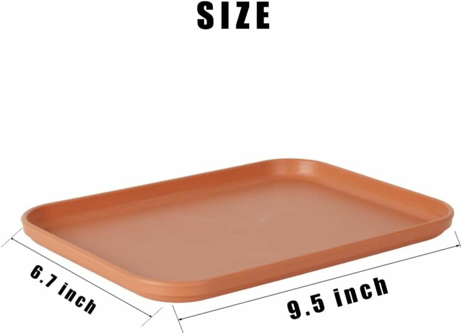 Reptiles & Amphibian WOLEDOE | Woledoe Reptile Large Water Dish, Tortoises Food Bowl - S (9.5 * 6.7 * 0.6)