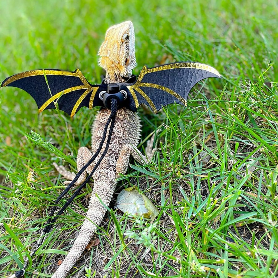 Reptiles & Amphibian ADOGGYGO | Adoggygo Bearded Dragon Lizard Leash Harness - Adjustable Cool Leather Wing Lizard Reptile Harness Leash For Bearded Dragon Lizard Reptiles (Black)