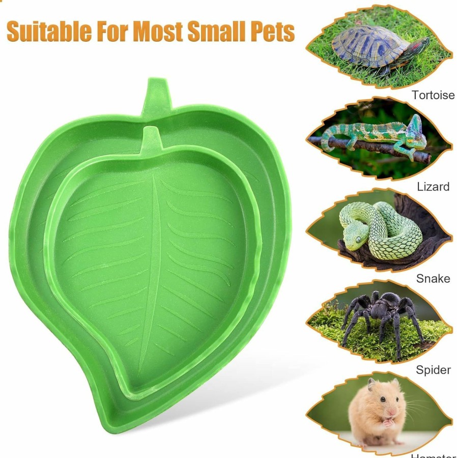 Reptiles & Amphibian Hi.FANCY | Hi.Fancy Leaf-Shaped Plastic Reptile Feeding Dish, 2 Sizes, Easy To Clean, Suitable For Tortoises, Lizards, Hamsters, Snakes