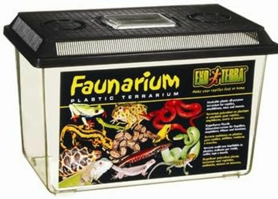 Reptiles & Amphibian Exo Terra | Exo-Terra Faunarium Small