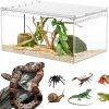 Reptiles & Amphibian smartang | Smartang Acrylic Tarantula Enclosure Terrarium With Magnetic Button,8 * 4 * 4\" Thicken Isopod Enclosure,Spider Cage,Terrarium For Reptiles,Lizard,Juvenile Tarantulas…