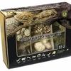 Reptiles & Amphibian tellmeGen | Natural Pack Galapagos 50705351: Arid Environment Terrarium Starter Kit