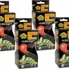 Reptiles & Amphibian Zoo Med | Zoo Med Nightlight Red Reptile Bulb 100 Watts (4 Pack)