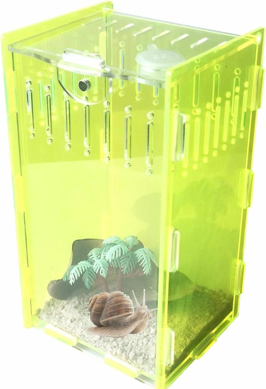 Reptiles & Amphibian Generic | Reptile Terrarium,Vertical Acrylic Tarantula Enclosure Breeding Tank,Aquarium Breeding Tank 5\" X 4\" X 8\"For Invertebrates And Small Tree Dwelling Reptiles,Mantis, Cricket,Snails,Frog-Fluorescent Green