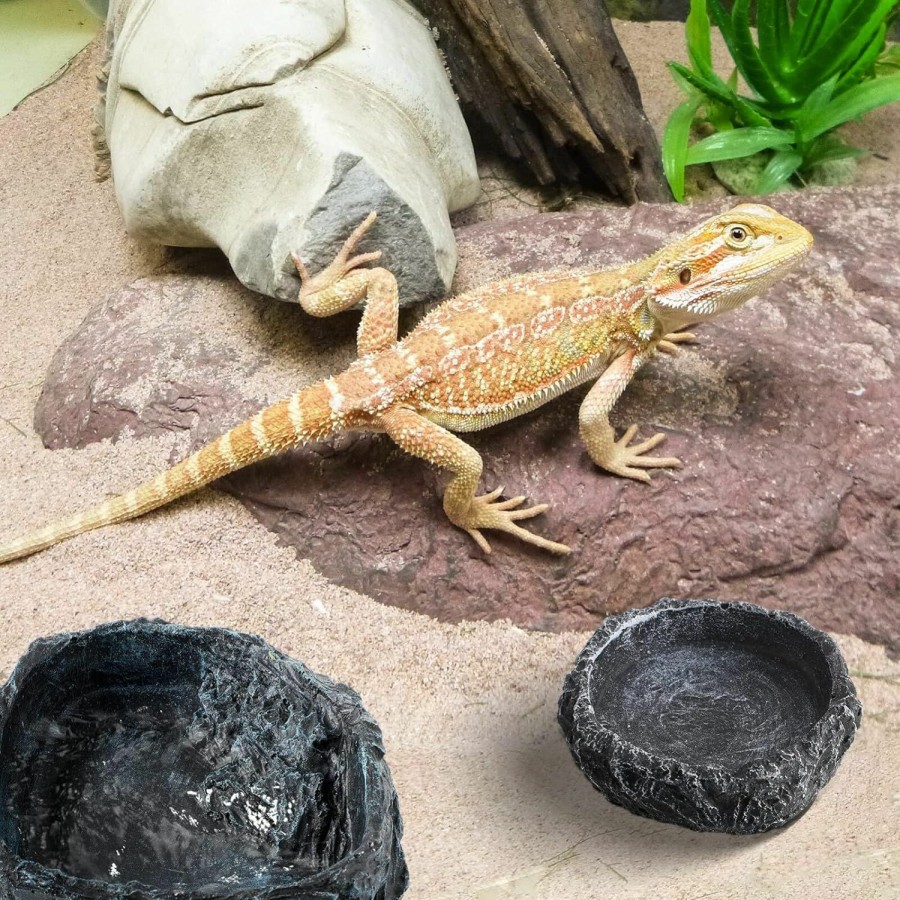 Reptiles & Amphibian POPETPOP | Reptile Bowl - 2Pcs Reptile Water Dish With Feeding Tongs Reptile Feeding Tweezers Reptile Feeding Bowls Reptile Water Bowl Reptile Food Dish For Lizard Tortoise