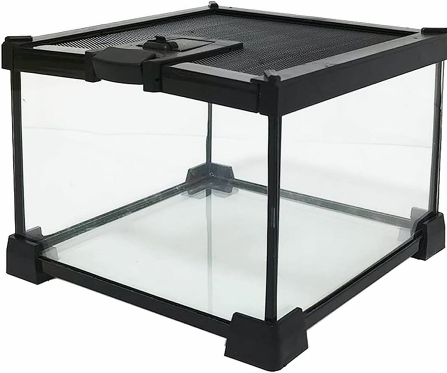 Reptiles & Amphibian kathson | Kathson Mini Reptile Glass Terrarium Tank 12\"X8\"X6\" Amphibians Habitat Cage Full View Visually Appealing Sliding Screen Top For Bearded Dragons Lizards Geckos Hermit Crab Frog