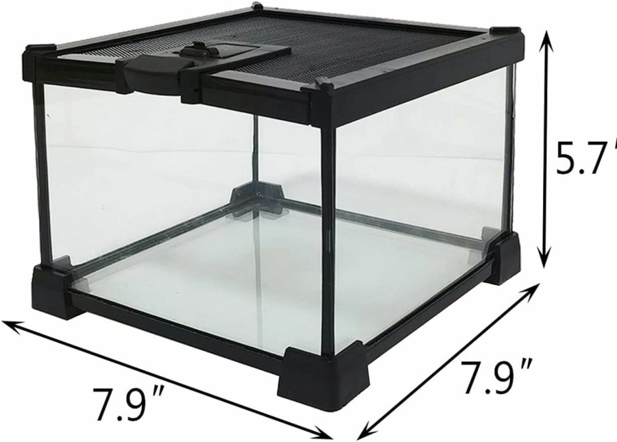 Reptiles & Amphibian kathson | Kathson Mini Reptile Glass Terrarium Tank 12\"X8\"X6\" Amphibians Habitat Cage Full View Visually Appealing Sliding Screen Top For Bearded Dragons Lizards Geckos Hermit Crab Frog