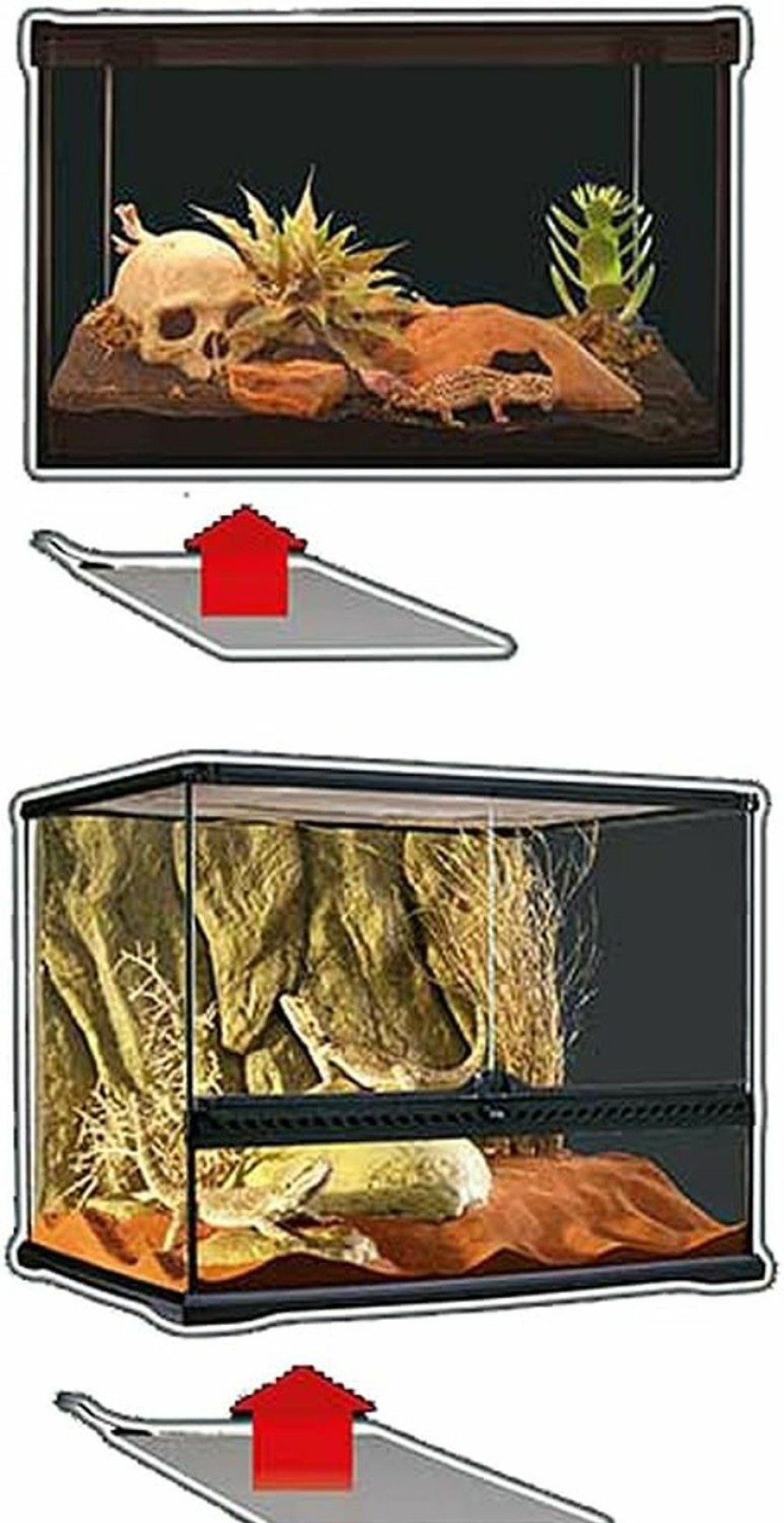 Reptiles & Amphibian Exo Terra | Exo Terra Heat Mat, Reptile Terrarium Substrate Heater, 25 Watt, Large